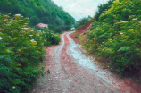 小岗村简介——从“穷村”到“富村”