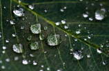 雨神萧敬腾(雨神萧敬腾：演唱会上遇雨不愁，谁是他的雨伞？)