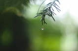 闻声下雨的声音，体验刺激与恬静的并存